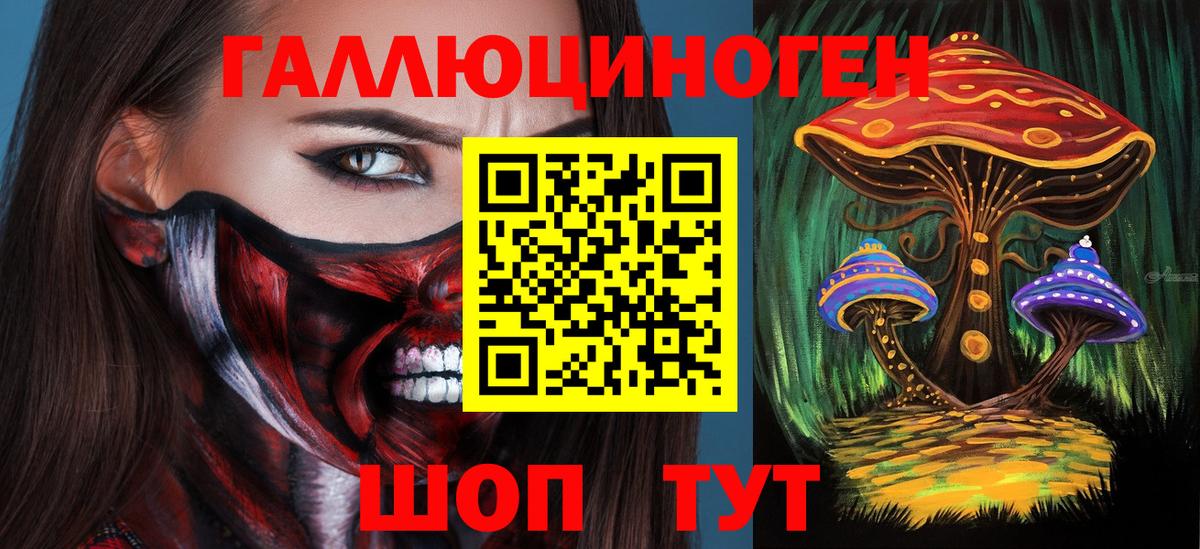 Псилоцибиновые грибы Cubensis  Псилоцибиновые грибы GOLDEN TEACHER  Усть-Джегута  Вход с VPN 